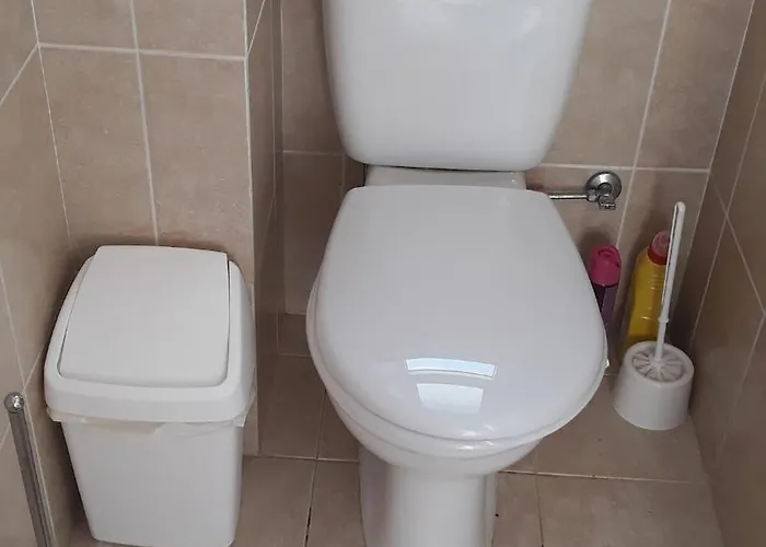 Tranquil * 파포스